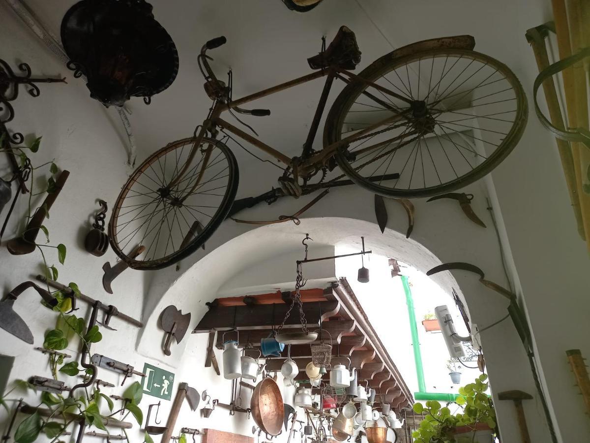 דירות חרז Casa Museo Jerez Centro מראה חיצוני תמונה