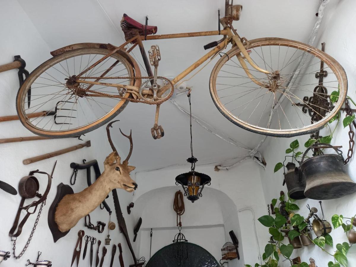 דירות חרז Casa Museo Jerez Centro מראה חיצוני תמונה